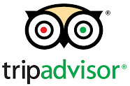 Trip Advisor Logo