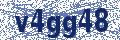 Security Verification Image